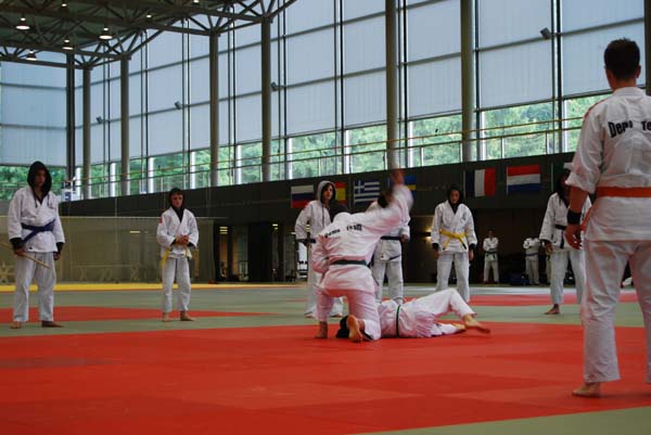 Ju-Jitsu