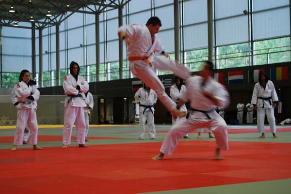Ju-Jitsu