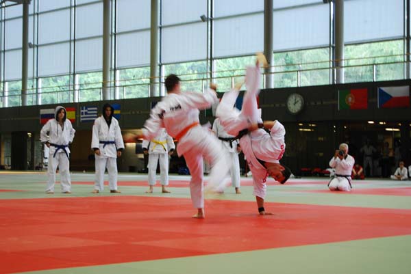Ju-Jitsu