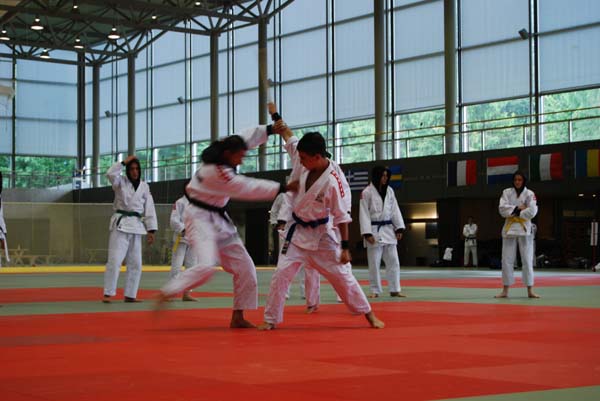 Ju-Jitsu
