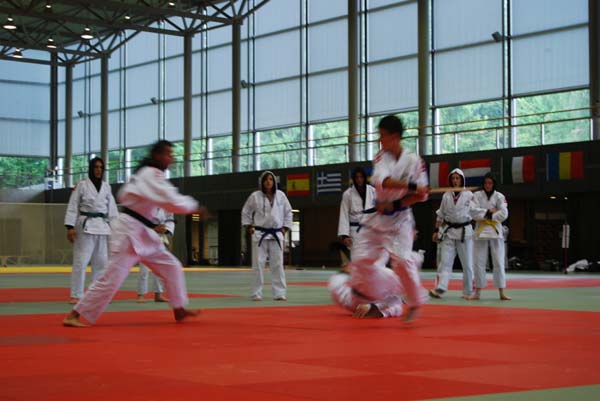 Ju-Jitsu