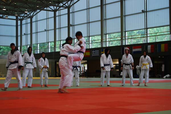 Ju-Jitsu