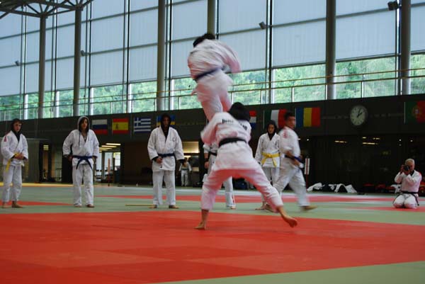 Ju-Jitsu