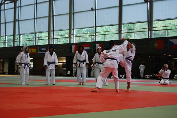 Ju-Jitsu