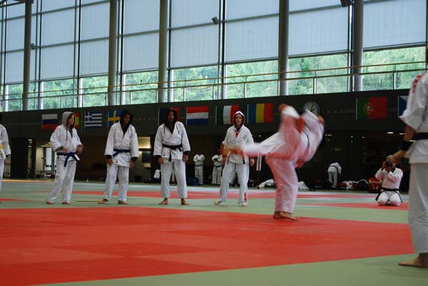 Ju-Jitsu