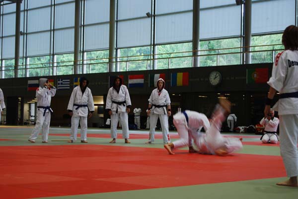 Ju-Jitsu