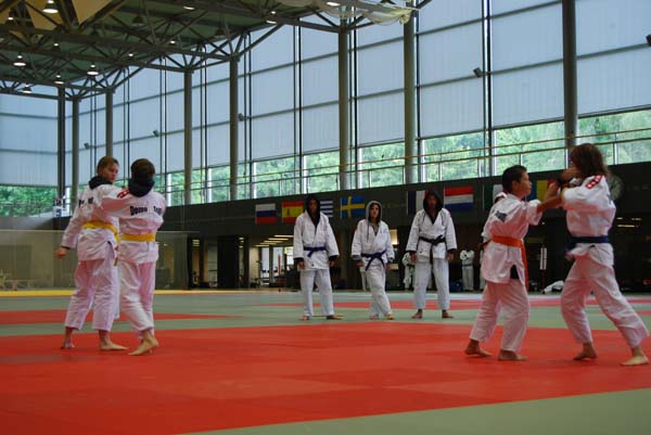 Ju-Jitsu
