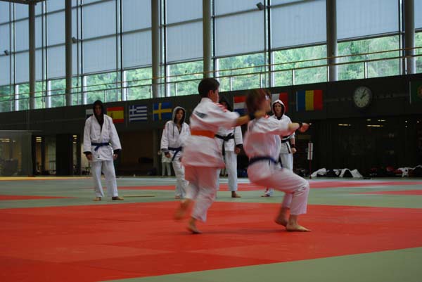 Ju-Jitsu