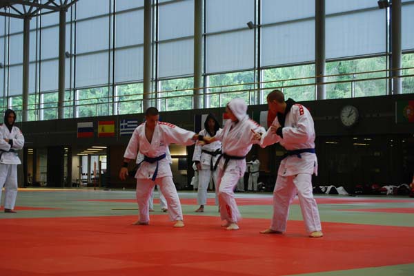 Ju-Jitsu