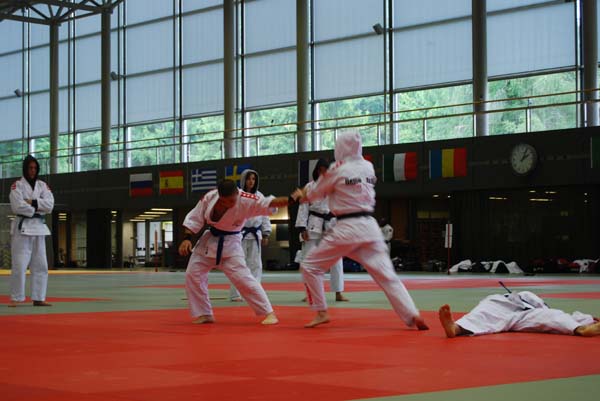 Ju-Jitsu
