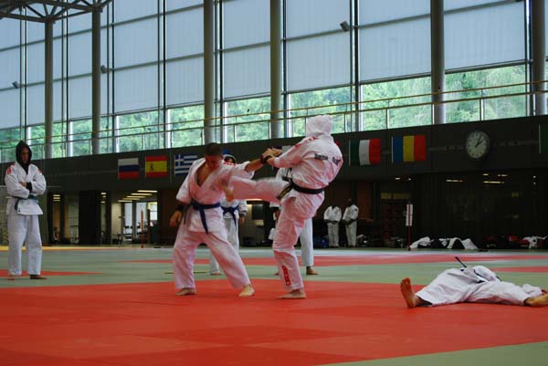 Ju-Jitsu