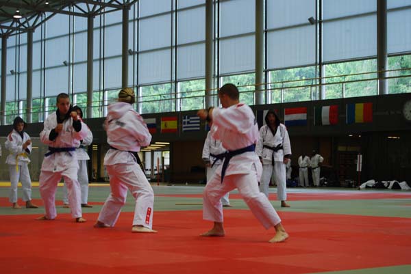 Ju-Jitsu