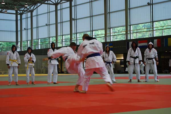 Ju-Jitsu