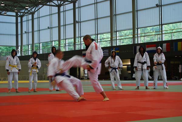 Ju-Jitsu