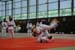 Ju-Jitsu