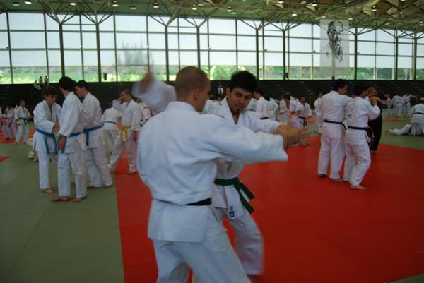 Ju-Jitsu
