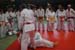 Ju-Jitsu