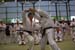 Ju-Jitsu