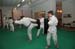 Bushido