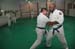 Bushido