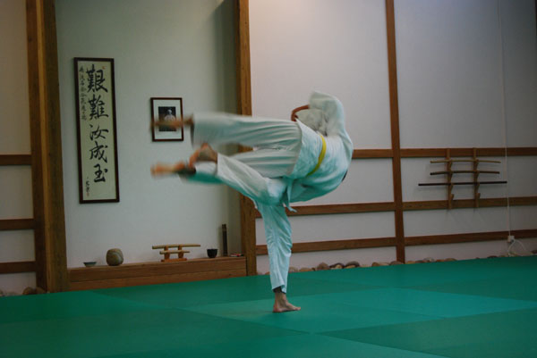 Bushido