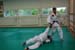 Bushido