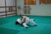 Bushido