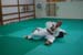 Bushido