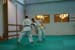 Bushido