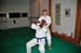 Bushido