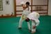Bushido