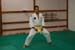 Bushido