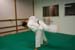 Bushido