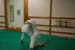 Bushido
