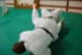 Bushido