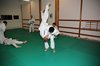 JMB_7004