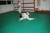 JMB_3584