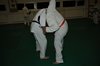 JMB_4226