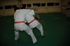 JMB_4259