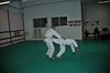 JMB_1721