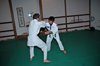 JMB_2529
