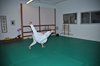 JMB_2544