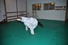 JMB_3174