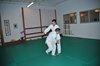 JMB_3046