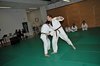 JMB_3994
