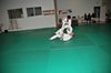 JMB_4073