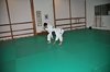 JMB_4765