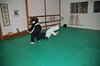 JMB_6104