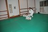 JMB_6336
