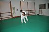JMB_6226